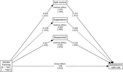 Self-Control and Emotion Regulation Mediate the Impact of Karate Training on Satisfaction With Life